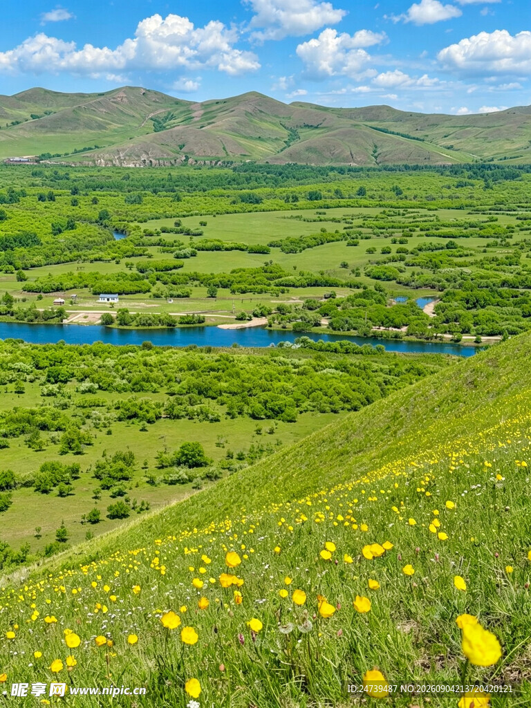 山间花海与河流美景
