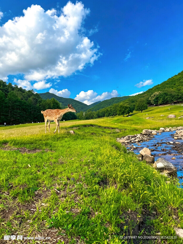 草原牧场景色如画