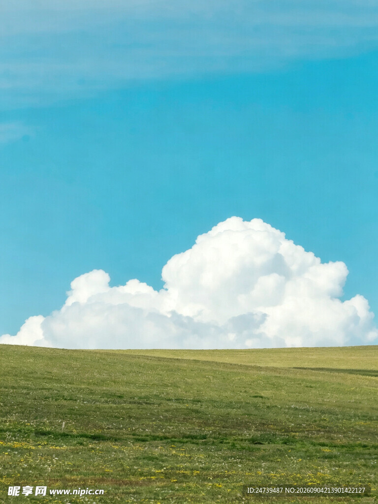草原上空的洁白云朵