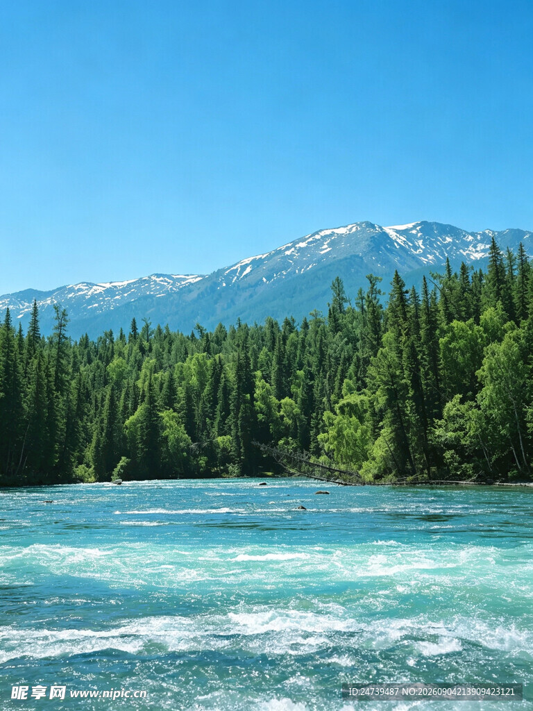 山间河流旁的葱郁森林景观