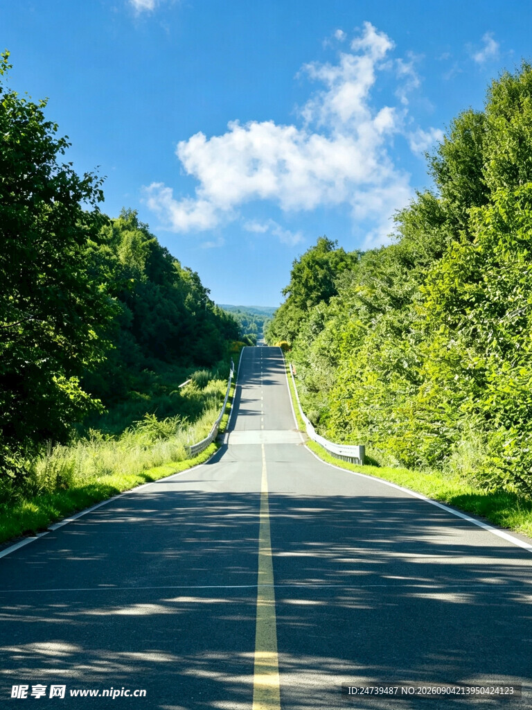 林间公路畅享自然之旅