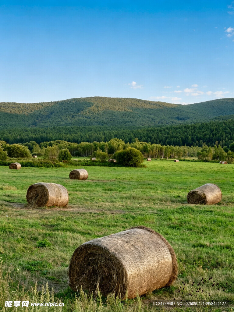 田野中的干草垛美景