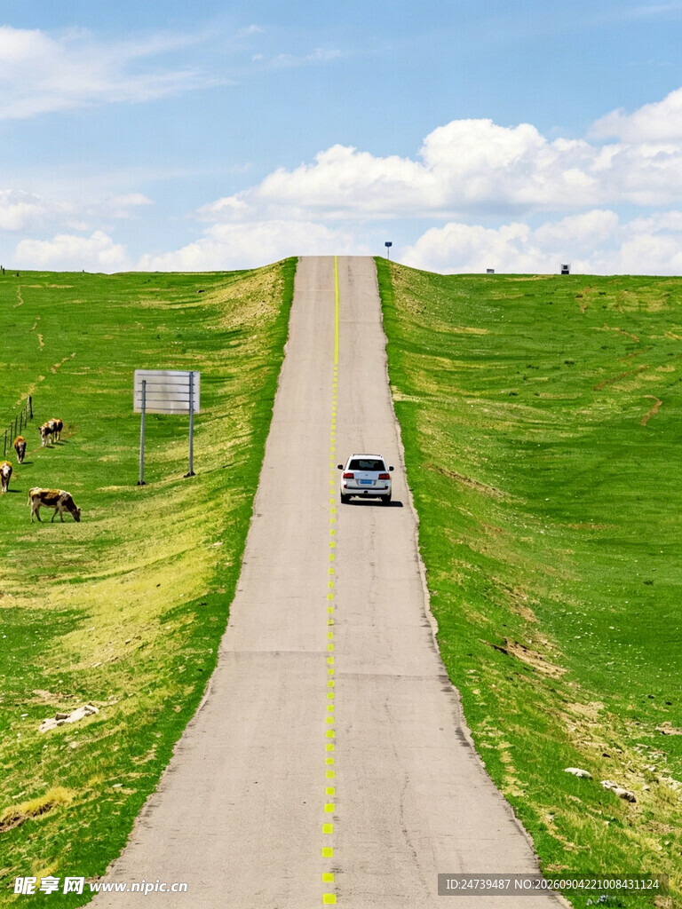 公路驰骋畅享自然风光