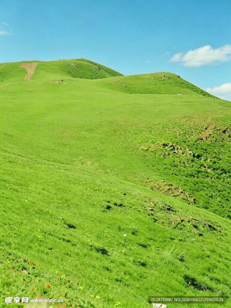 翠绿山丘清新自然美景