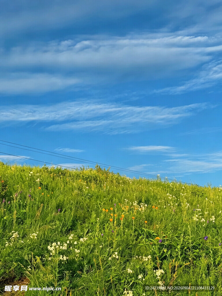 蓝天绿野间的清新自然景
