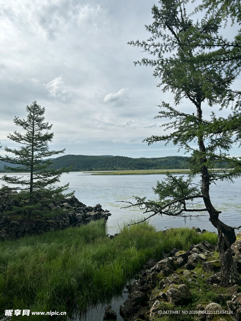 湖畔绿树成荫的自然景致
