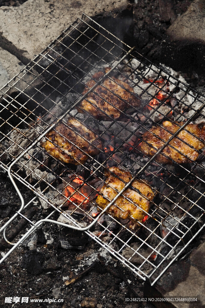 户外烤架上的美味烤肉