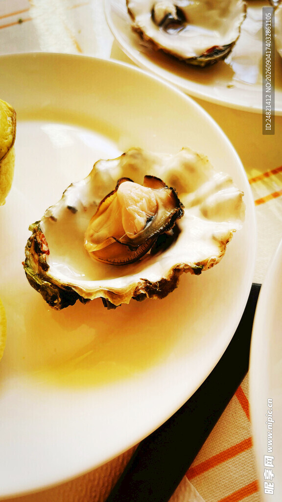 美味扇贝摆盘特写