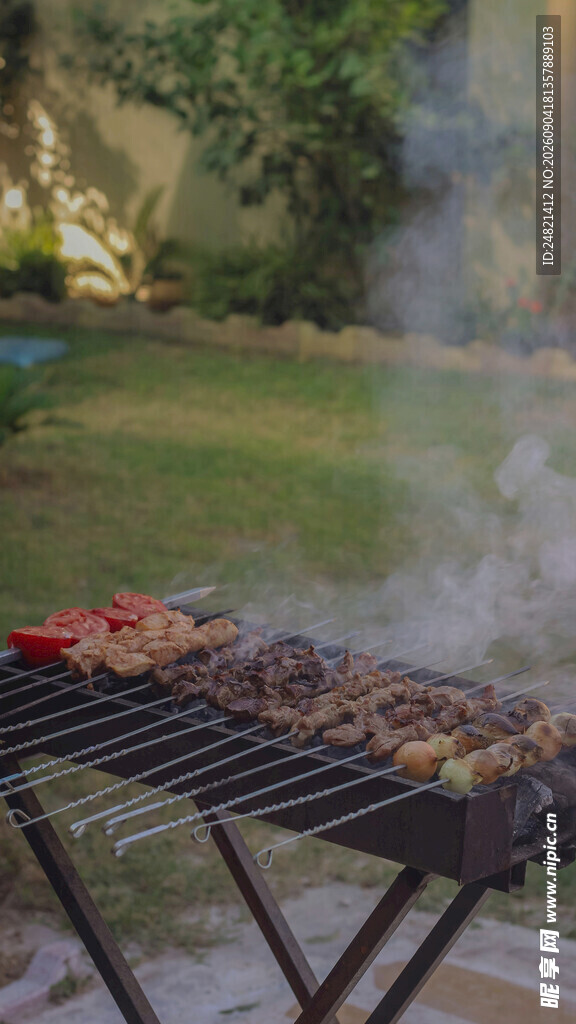 户外烧烤架上的美味烤肉