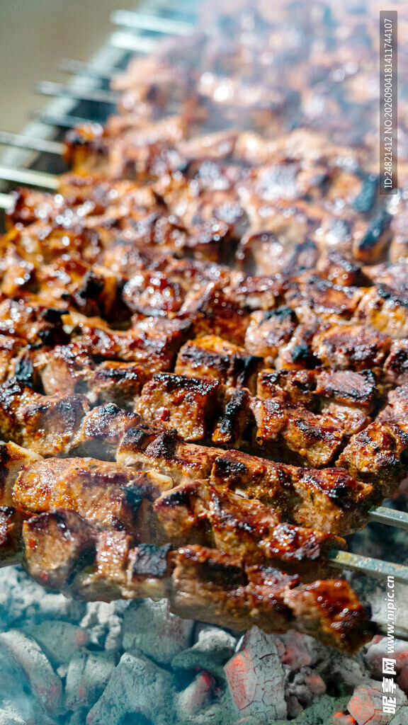 炭火上烤制的美味烤肉