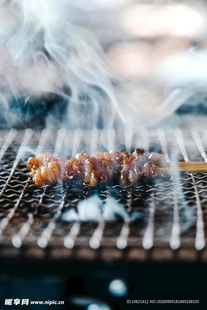 户外烤肉架上的美味烧烤