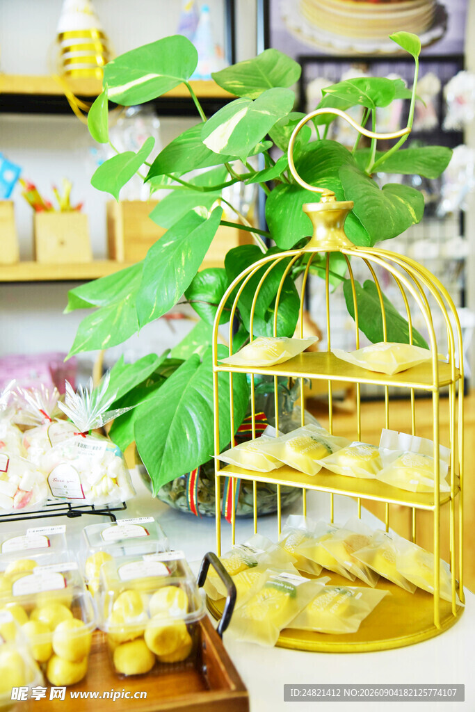 金色鸟笼绿植装点温馨角落