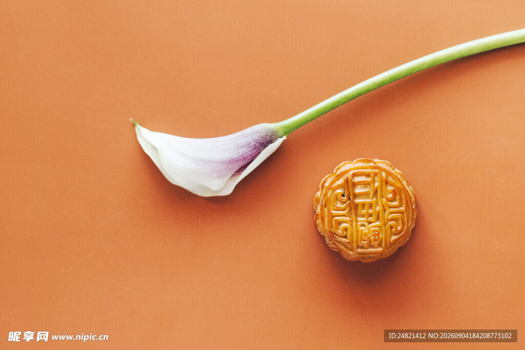 玉兰花与月饼展示