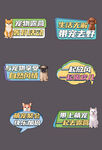 宠物手举牌