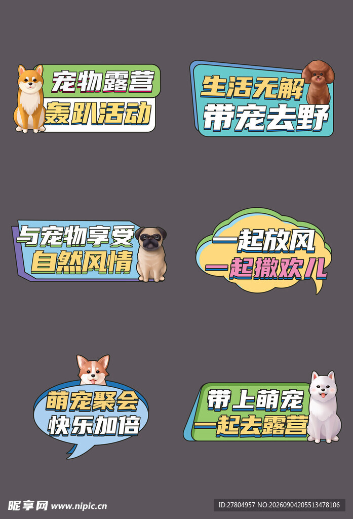 宠物手举牌
