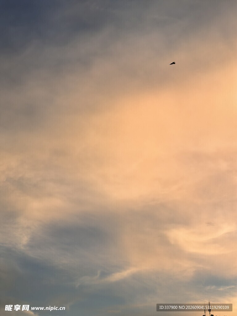 黄昏天空中的飞鸟景象