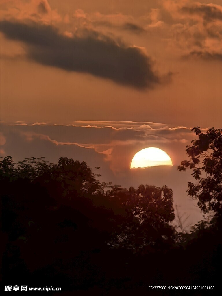 日落时分的树林美景