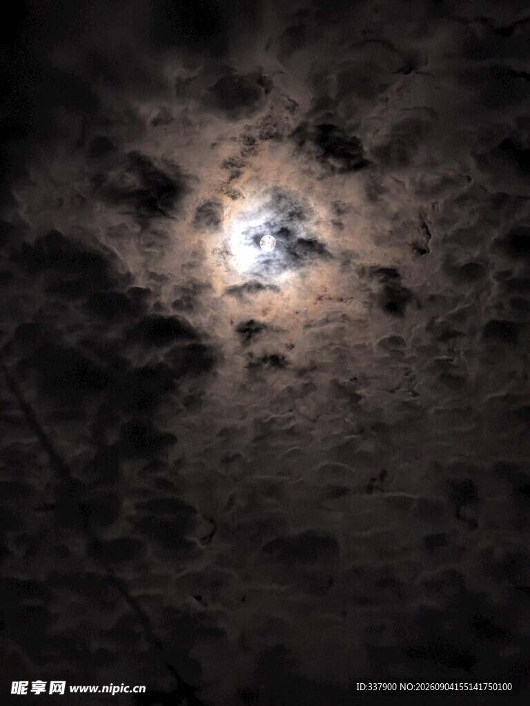 夜空中的明亮月亮