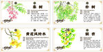 物业银杏树牌