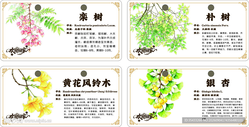 物业银杏树牌