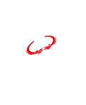 龙纹
