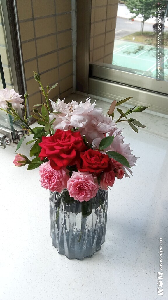 玫瑰花瓶插