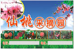 仙桃采摘园宣传海报