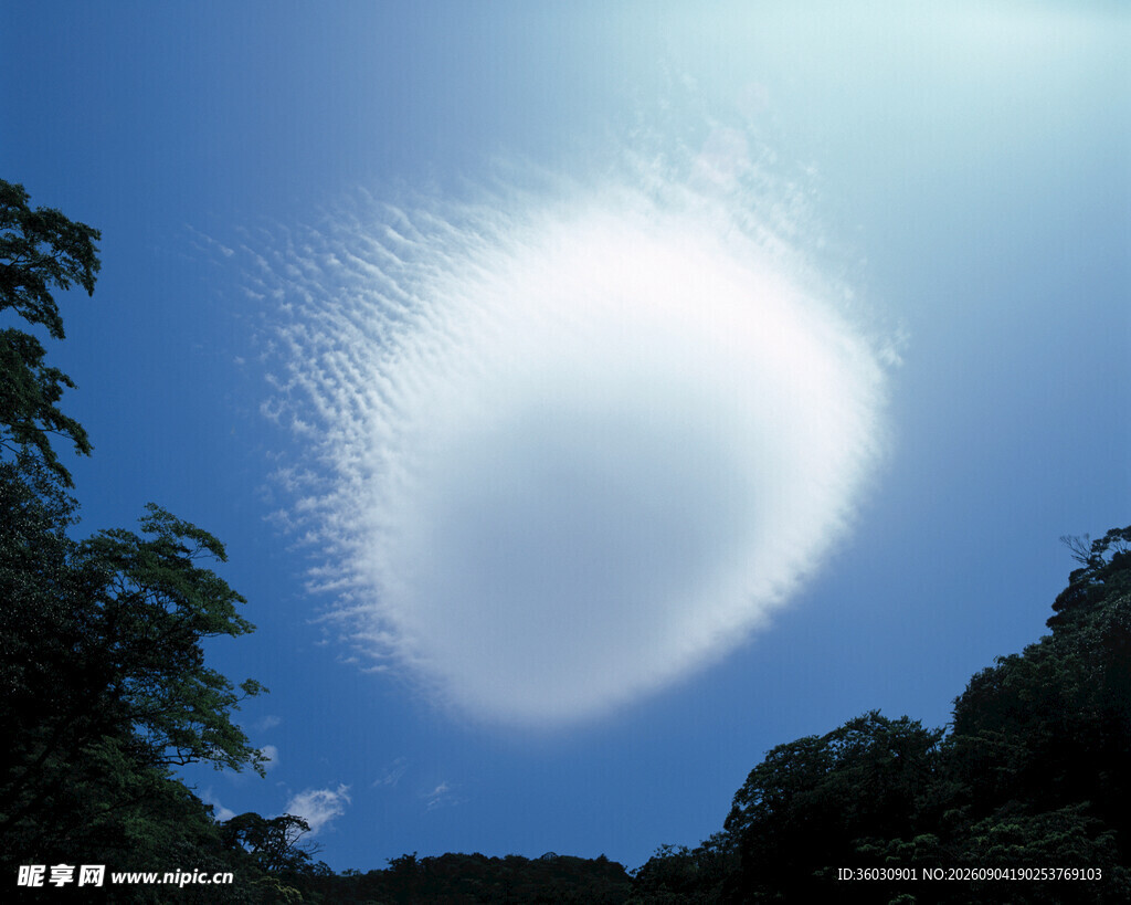 天空中的奇异云团