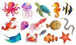 海洋生物合集