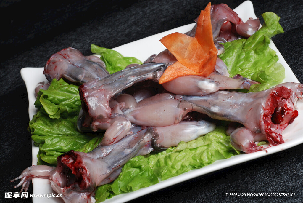 新鲜生牛蛙食材