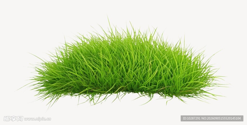 青草素材合集