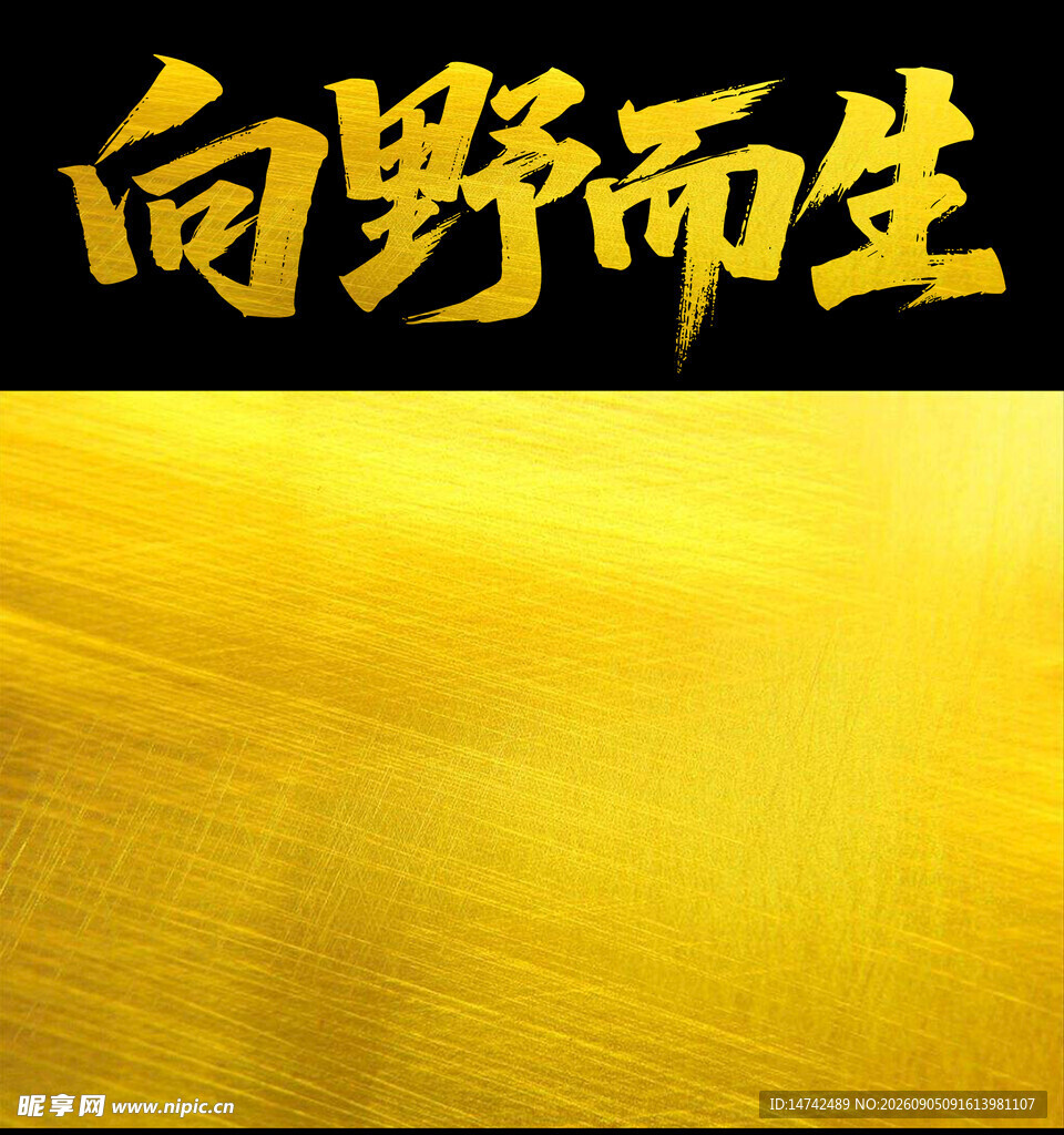 金色背景