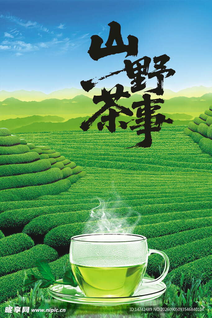 茶叶海报