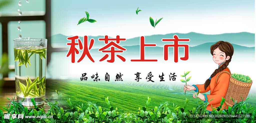 茶叶海报
