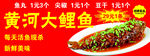 黄河大鲤鱼宣传菜品