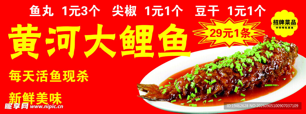 黄河大鲤鱼宣传菜品