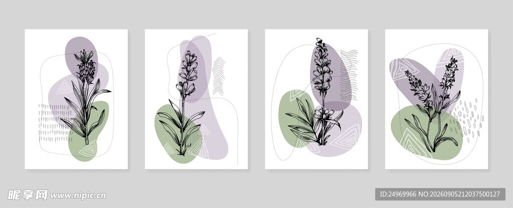 植物水彩插画四幅组图
