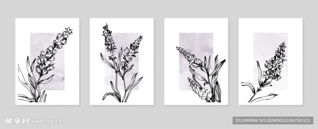 四幅简约植物花卉插画