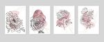手绘花卉插画组图