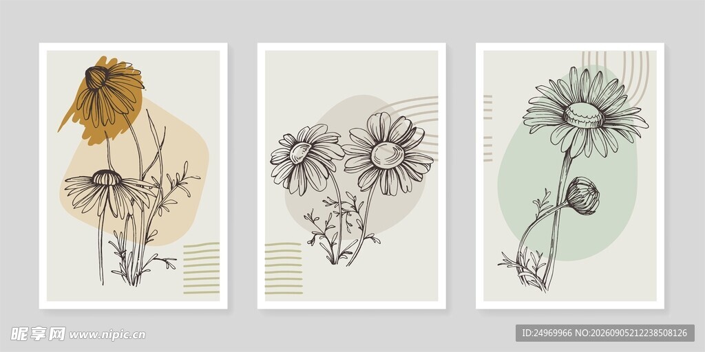 三幅简约风花卉插画作品