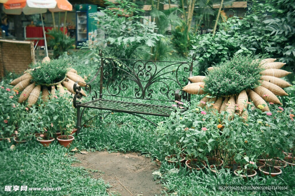 花园中的绿植与长椅景观