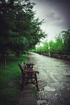 雨后公园长椅 