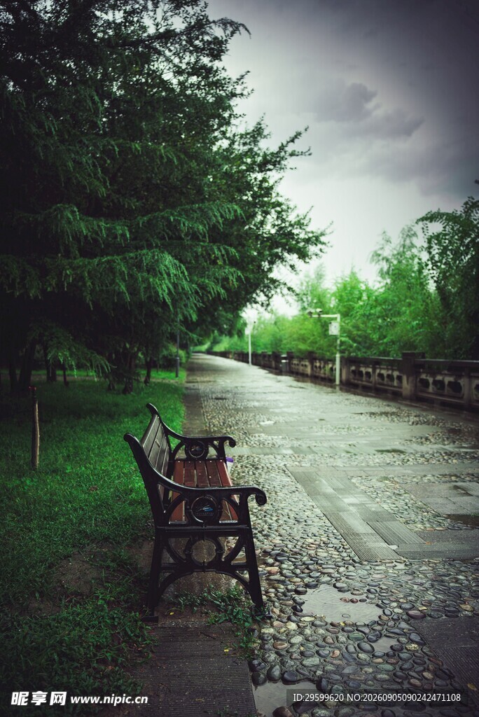 雨后公园长椅 
