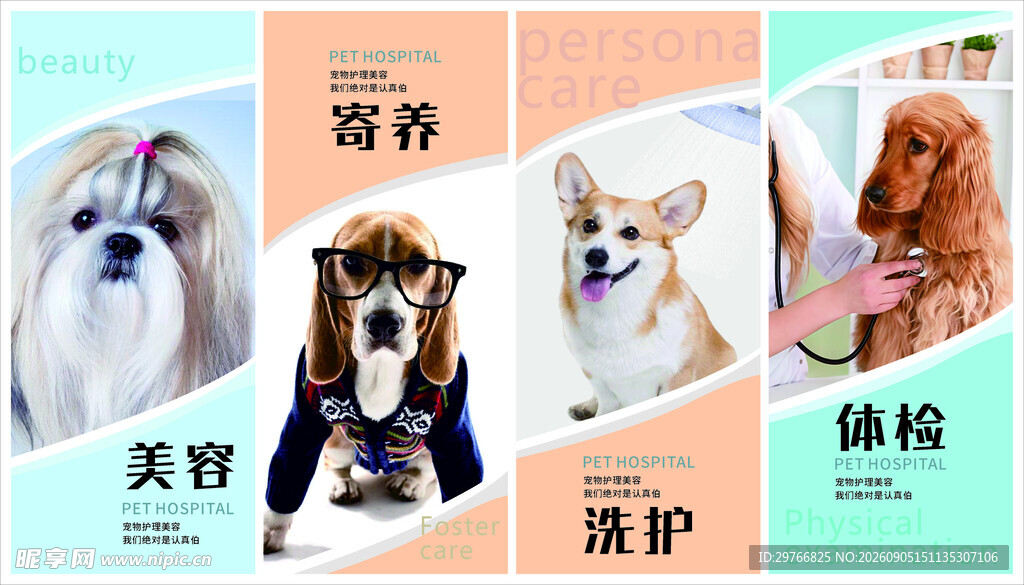 宠物美容洗护