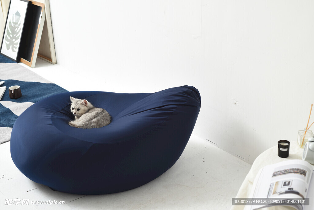 蓝色豆袋椅上的猫咪