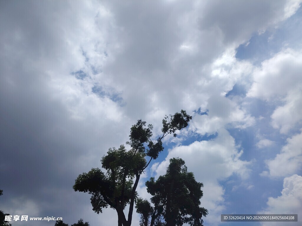 乌云下的树木与蓝天