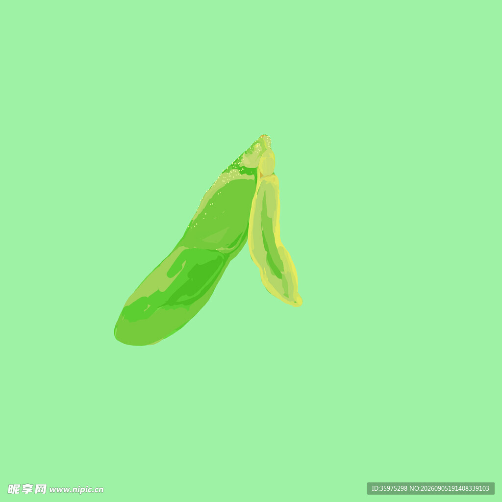 毛豆