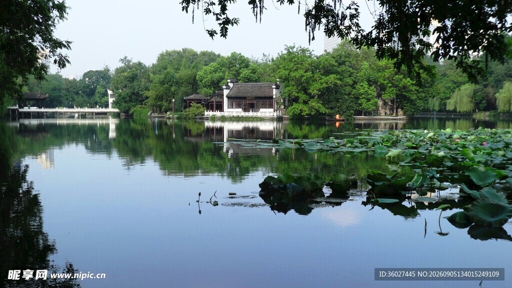 宁静湖畔风光