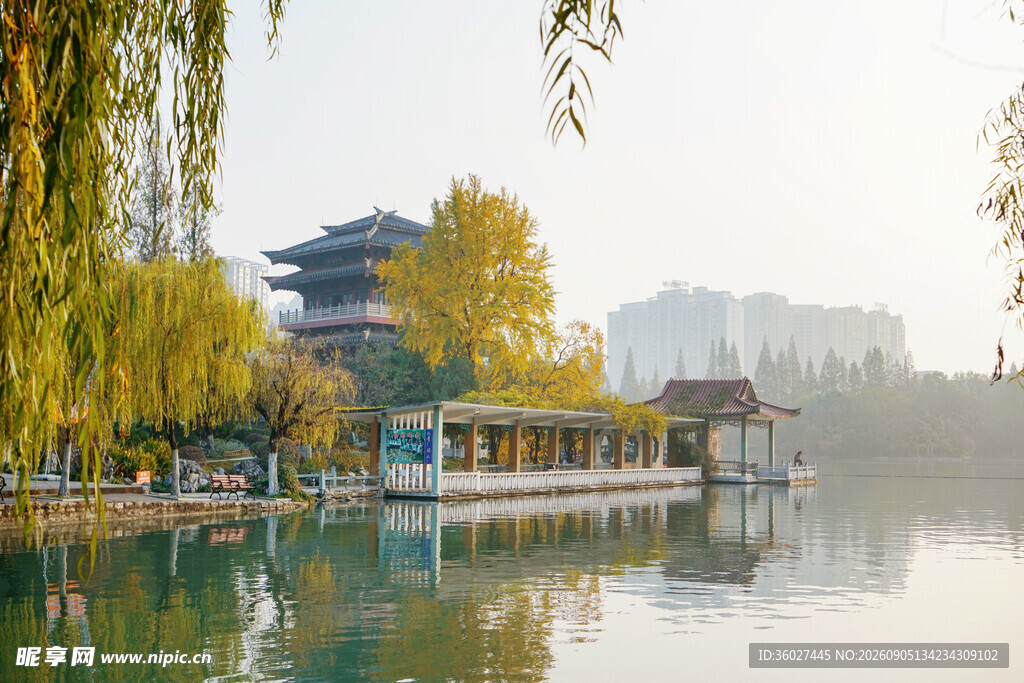 湖畔楼阁秋景柳影婆娑