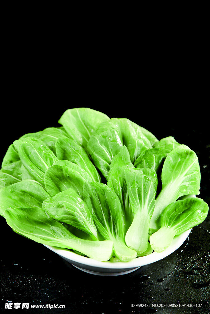 新鲜小白菜摆放在盘中